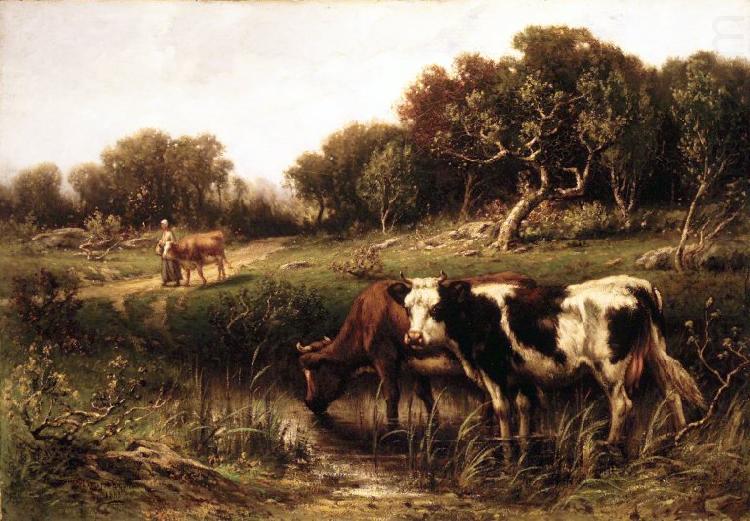 unknow artist Cattle in a Pool china oil painting image